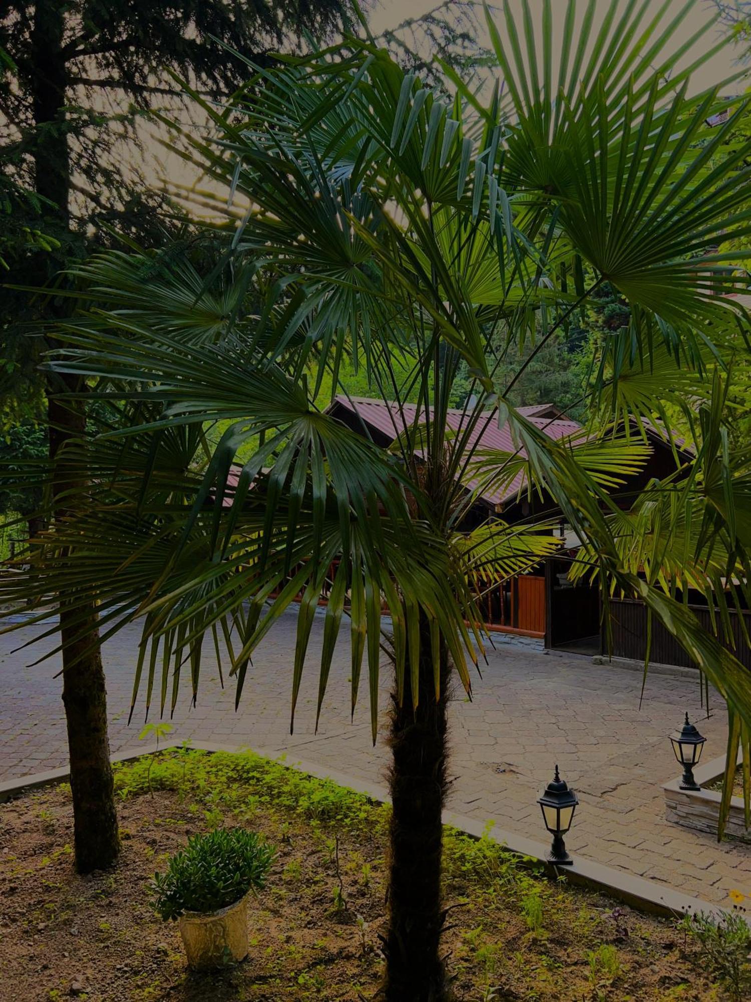 Isikli Kale Hotel Caykara Luaran gambar